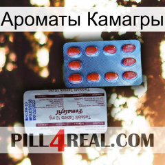 Ароматы Камагры 36